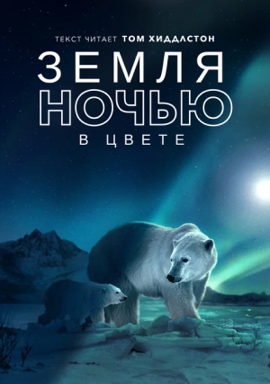 Земля ночью в цвет